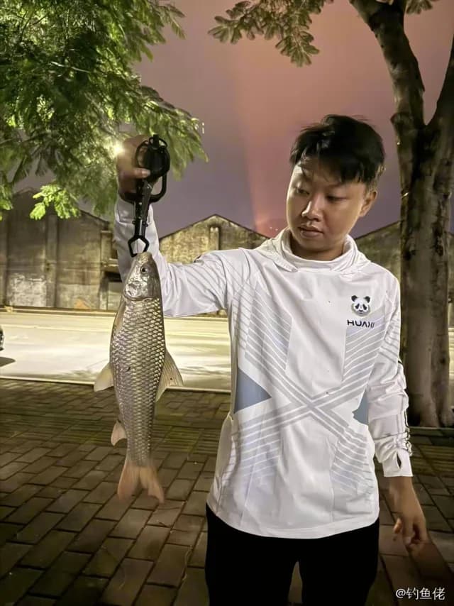 桂孟加拉国鲮钓获 中山市 1.2kg