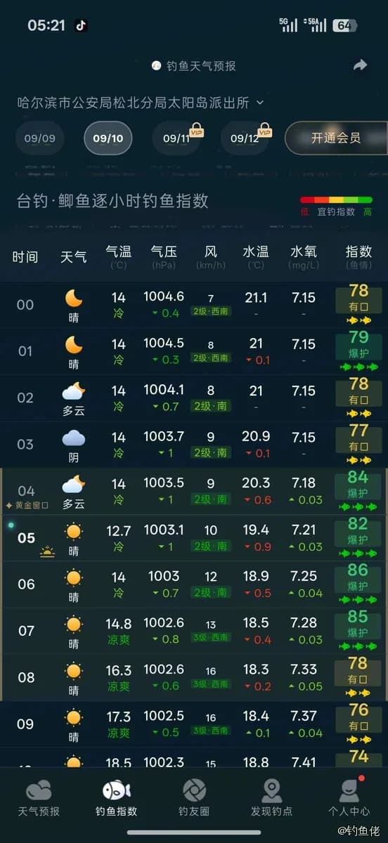鲫鱼钓获 1.3kg