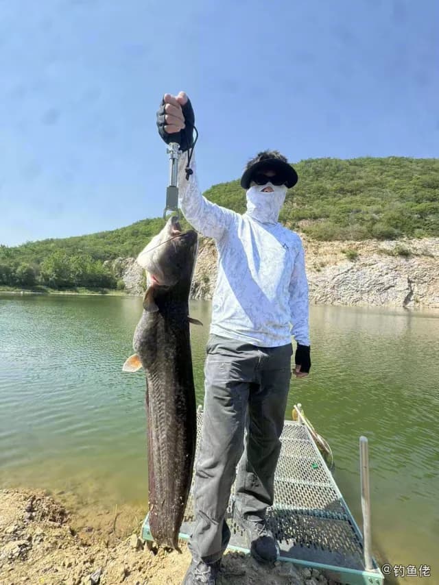 鲶鱼钓获 9.7kg