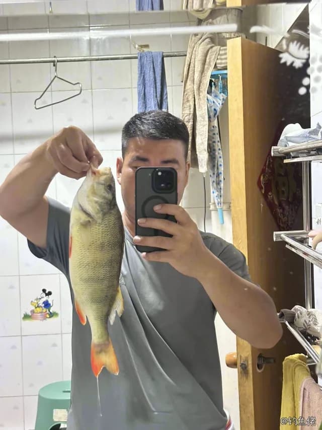 河鲈钓获 1.1kg