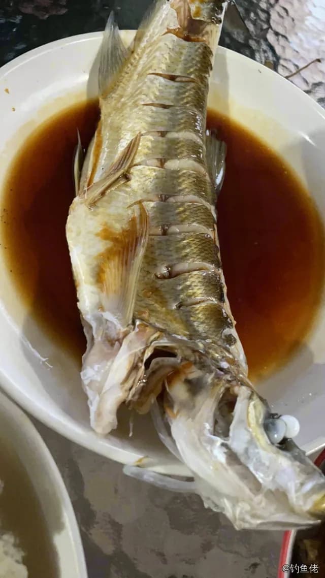 翘嘴鲌钓获 3kg