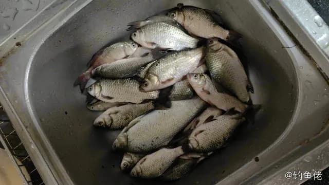 鳊鱼钓获 0.4kg