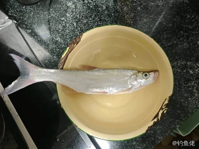 翘嘴鲌钓获 2kg