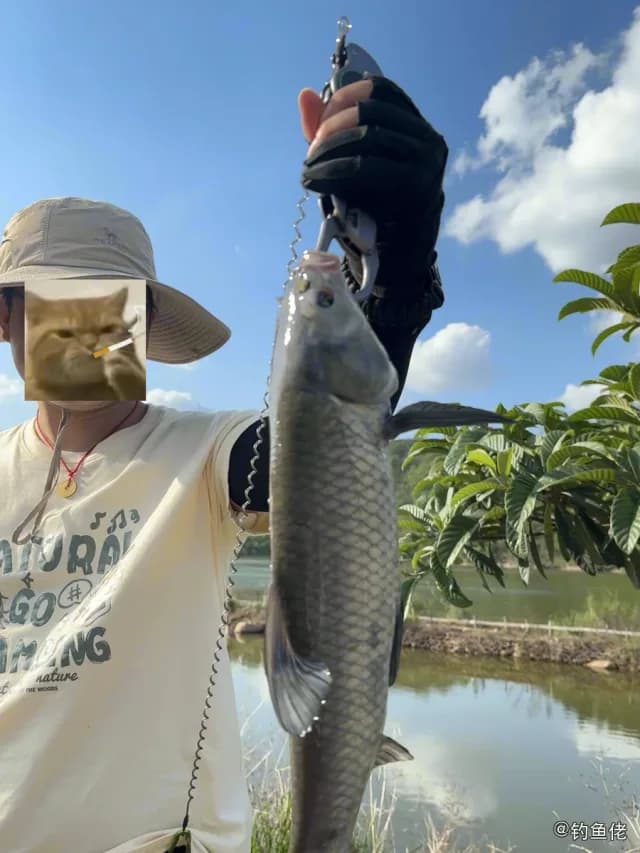 青鱼钓获 4.5kg