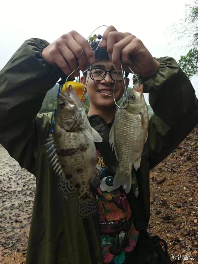 鳜鱼钓获 0.6kg