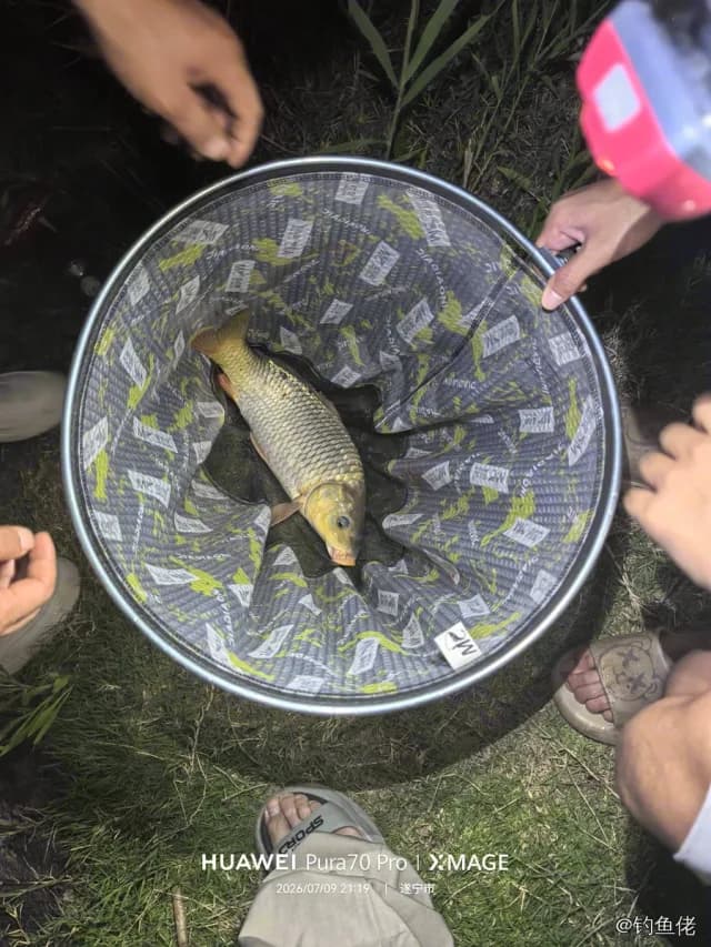 鲤鱼钓获 4kg