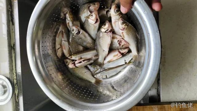 斑鰶钓获 随州市 0.1kg