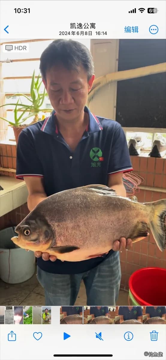 淡水红鲳钓获 东莞市 32kg