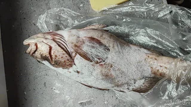 黑鞍鳃棘鲈钓获 漳州市 2.5kg