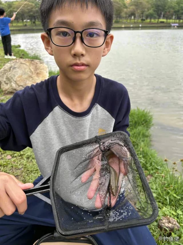 泥鳅钓获 深圳市 27kg