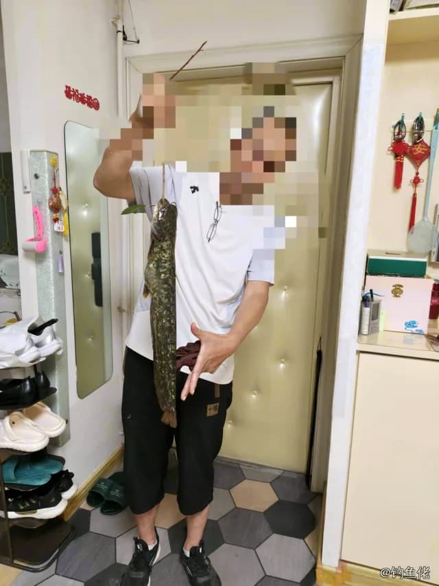 鲶鱼钓获 青岛市 3kg