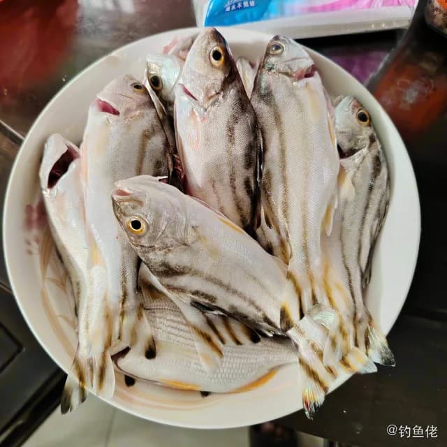 细鳞鯻钓获 汕尾市 0.08kg