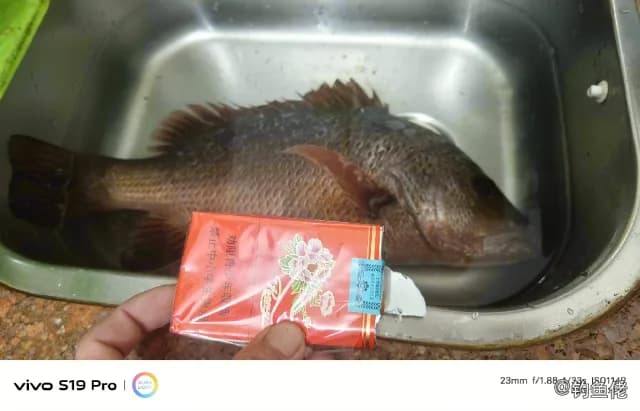 紫红笛鲷钓获 汕尾市 1kg