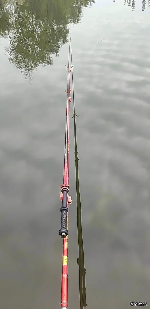 鲫鱼钓获 2.15kg
