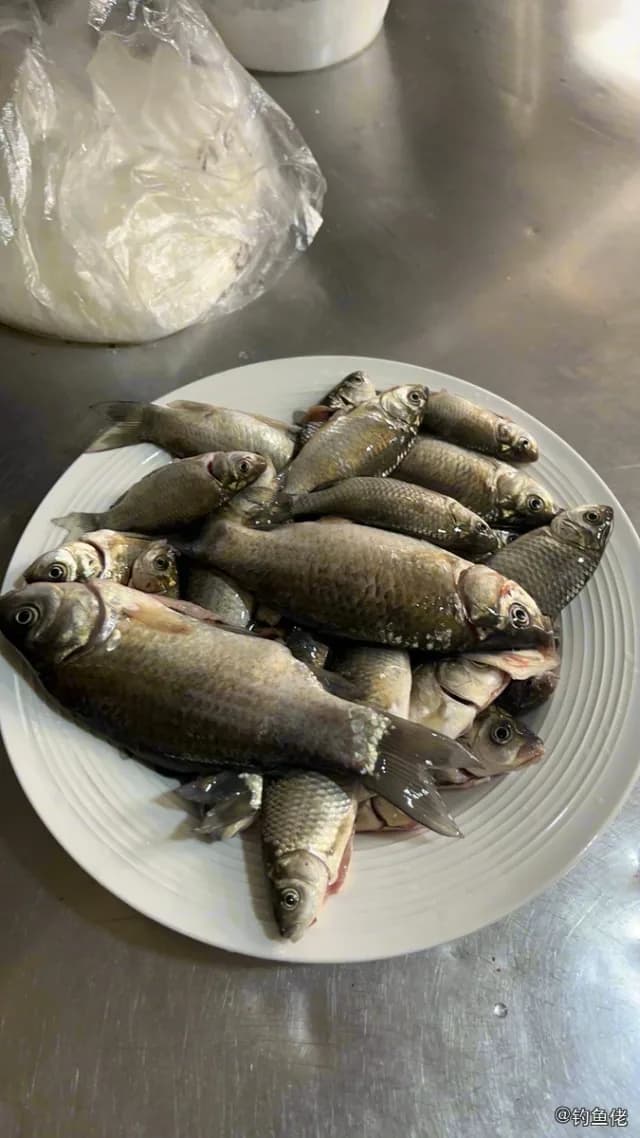 鲫鱼钓获 0.45kg